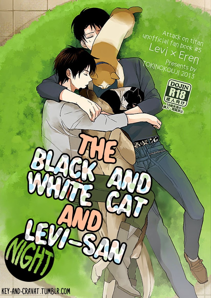 Hachiware to Levi-san [Yoru] | The Black and White Cat and Levi-san