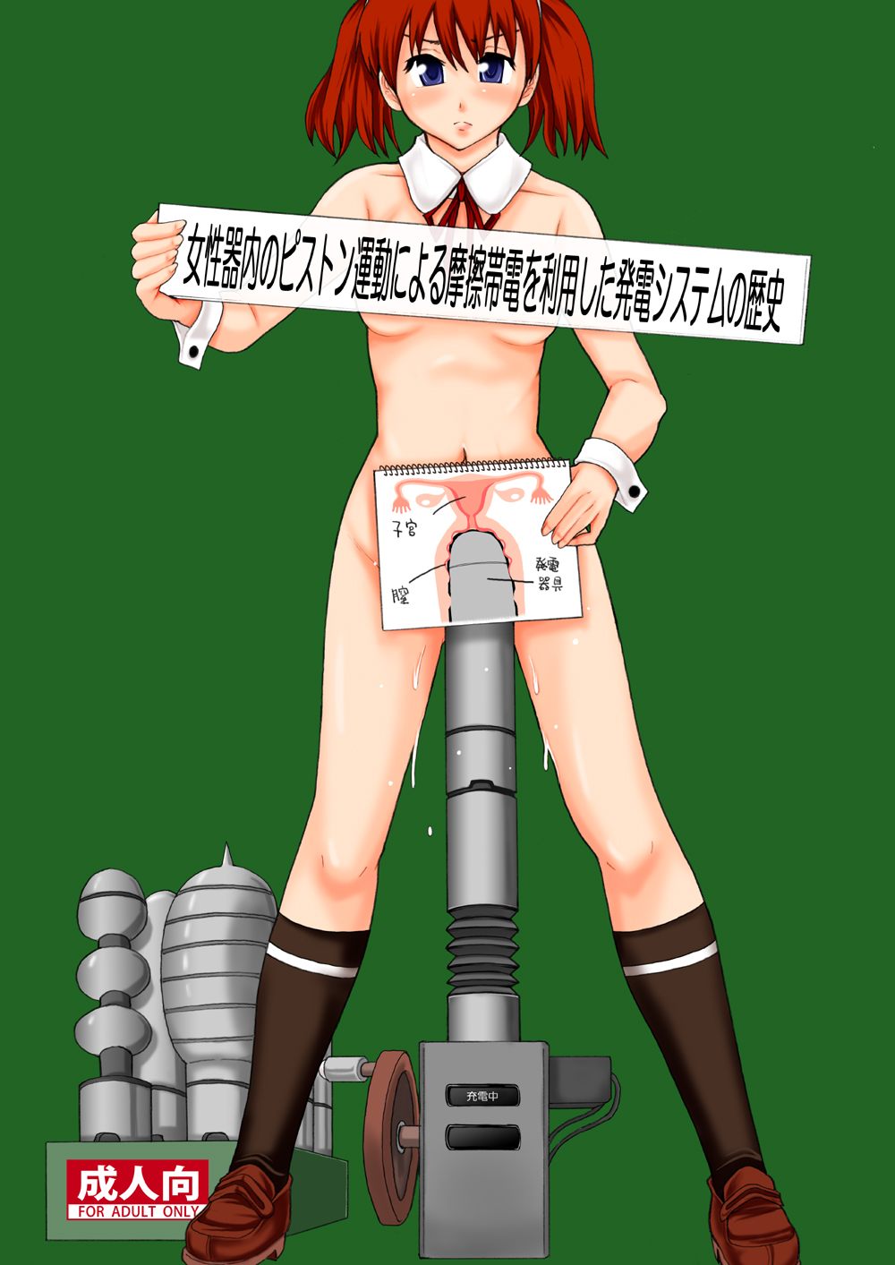 Joseiki-nai no Piston Undou ni Yoru Masatsu Taiden wo Riyou shita Hatsuden System no Rekishi | History of Piston Friction-Powered Electricity Generation System Via the Female Reproductive Organ