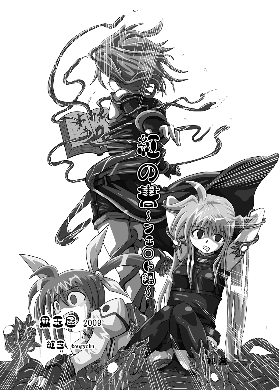 Kurenai no Syo -Fate hen- | The Crimson Book ~Fate side~