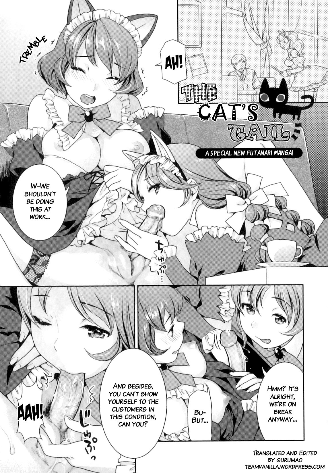 Neko no Shippo | The Cat's Tail (Futanari Relations) [English] =Team Vanilla=