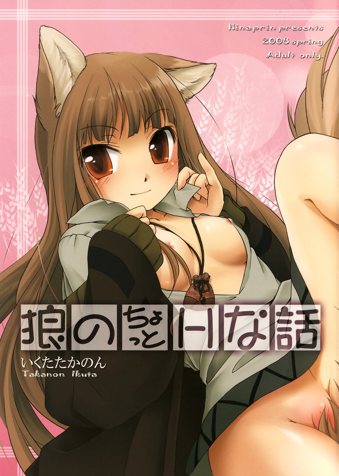 Ookami no Chotto H na Hanashi [Wolf and a Little Dirty Chat] (Ookami to Koushinryou [Spice and Wolf]) [English] ==Strange Companions==
