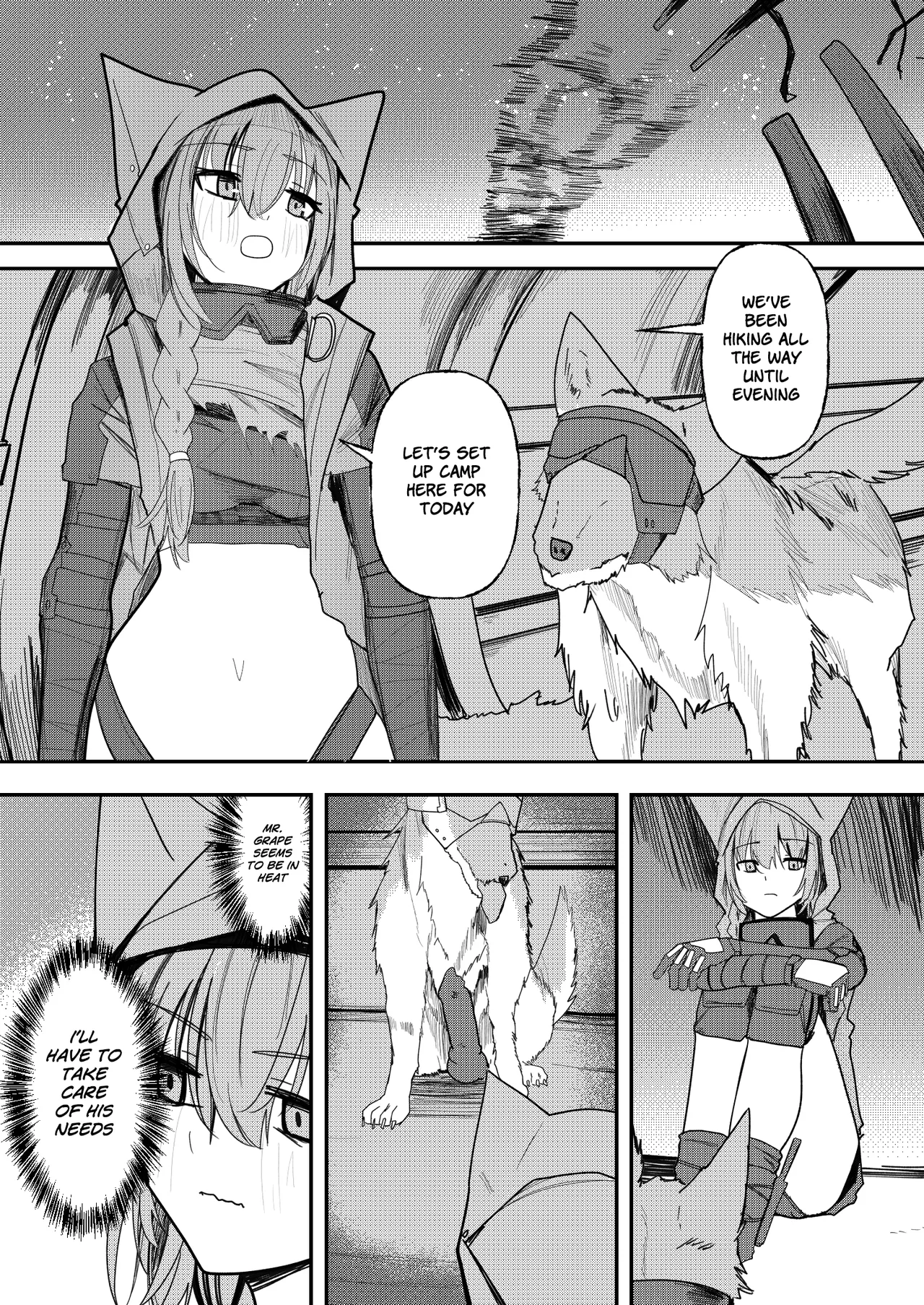 Wolf and Provence