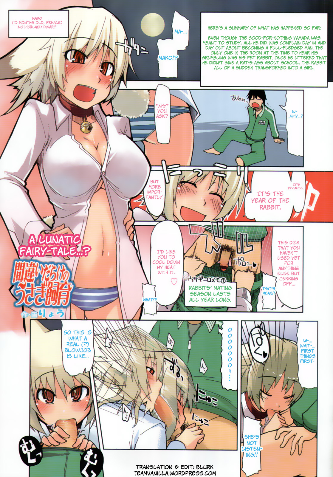 Machigai Darake no Usagi Shiiku | You're Doing It Wrong! (COMIC Tenma 2011-03) [English] =Team Vanilla=