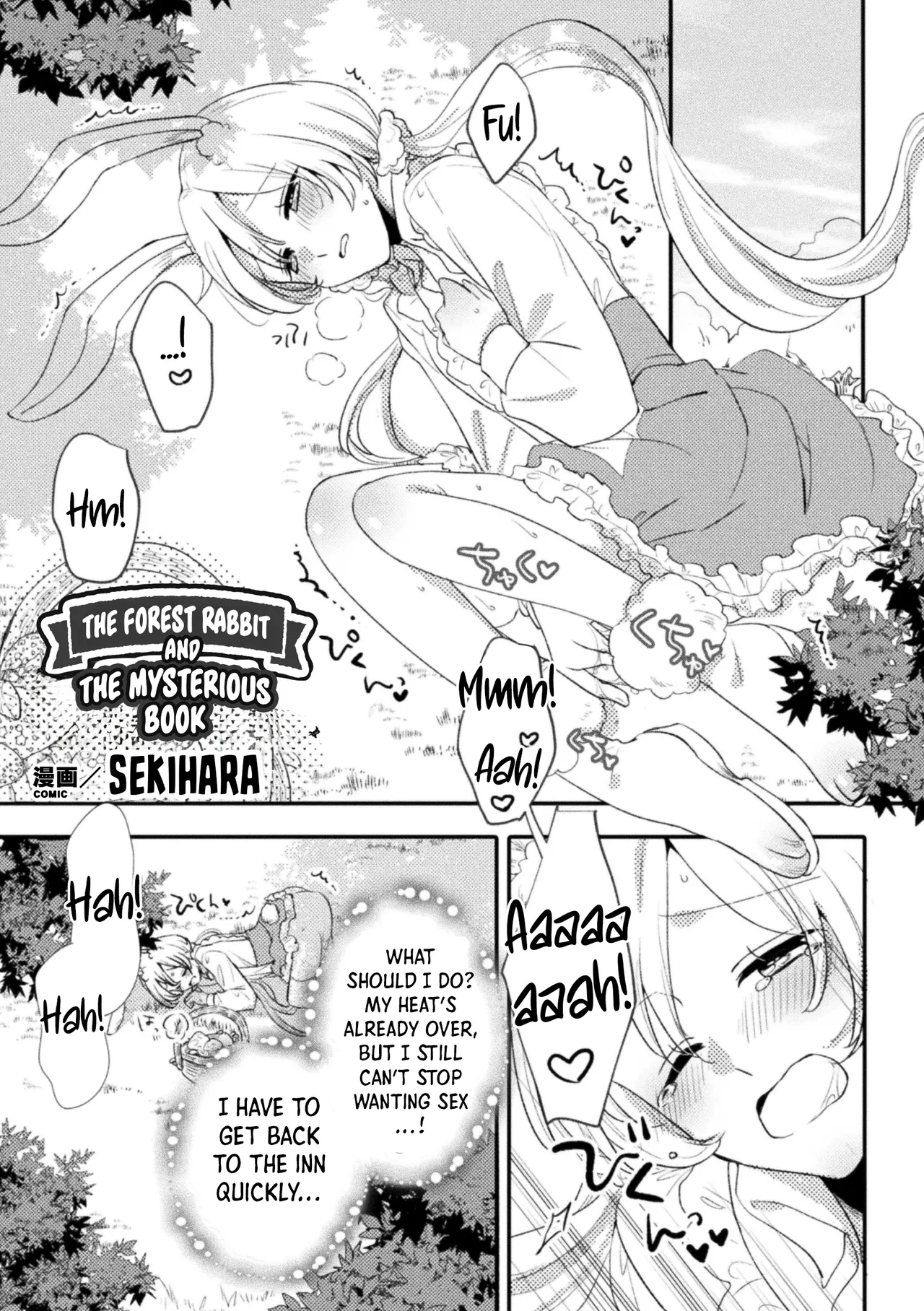 Mori no usagi to fushigina hon | The Forest Rabbit and the Mysterious Book