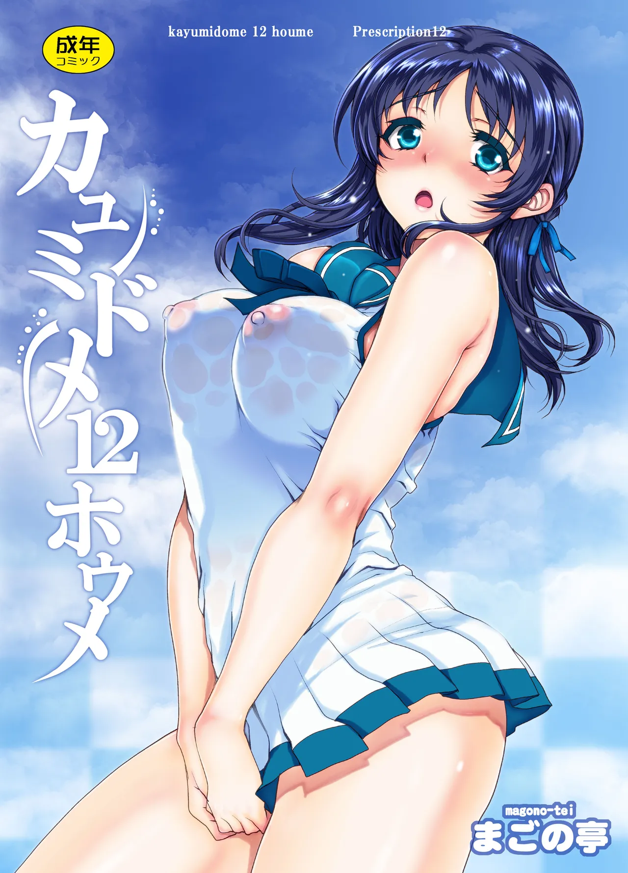 Kayumidome 12 Houme