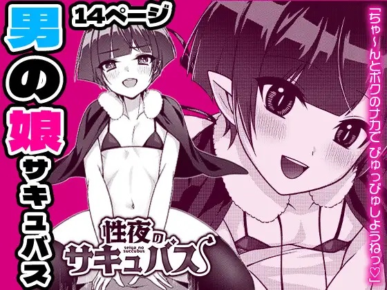 Seiya no Succubus | Hole(y) night Succubus
