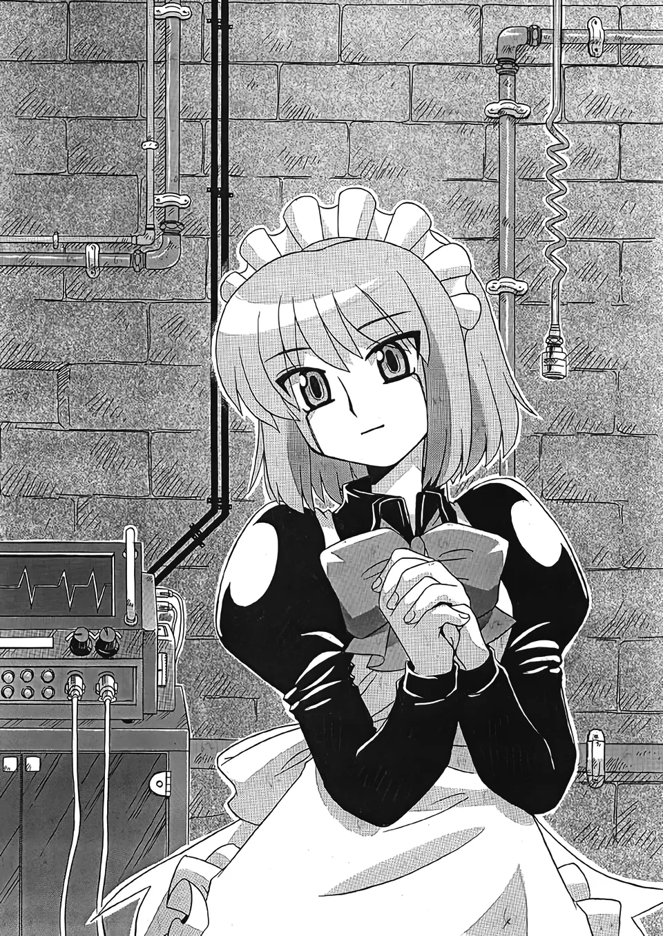 Mecha Hisui ga Ichiban Hoshii Gohoubi | What Mecha Hisui Wants the Most