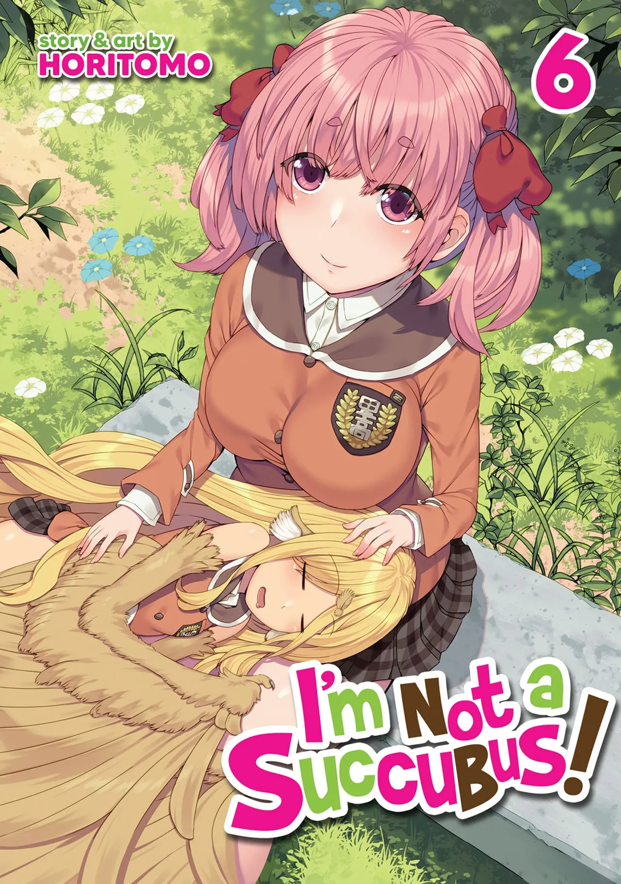 I'm not a succubus! 才不是魅魔呢！6卷