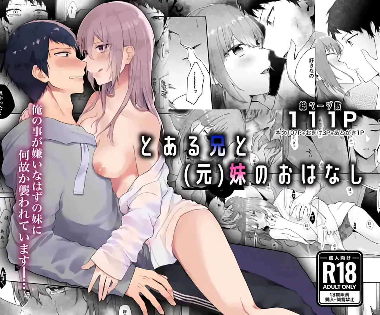Toaru Ani to (Gen) Imouto no Ohanashi | The Tale of a Certain Brother and His (Ex) Sister