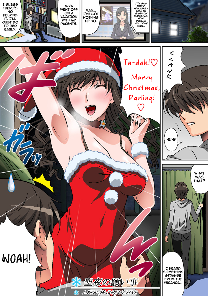 Seiya no Negaigoto | A Wish on Christmas Eve (Amagami) [English] =LWB=