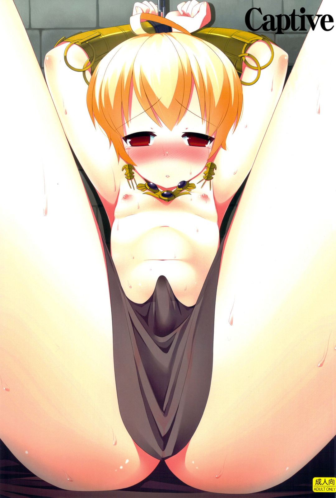 Ryoshuu | Captive (Final Fantasy Tactics) [English] =Short Wharf=