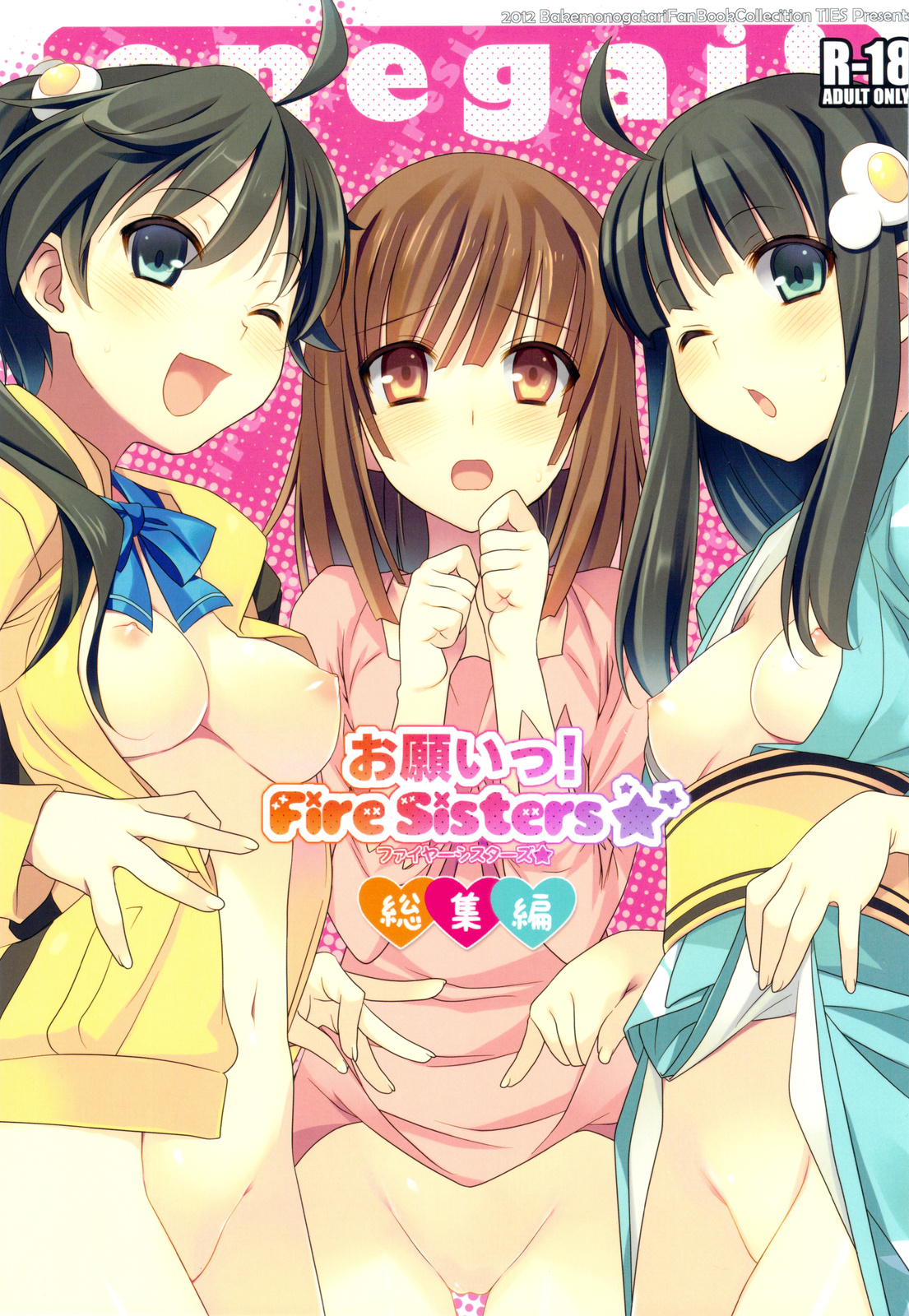 Onegai! FireSisters★ -Soushuuhen-