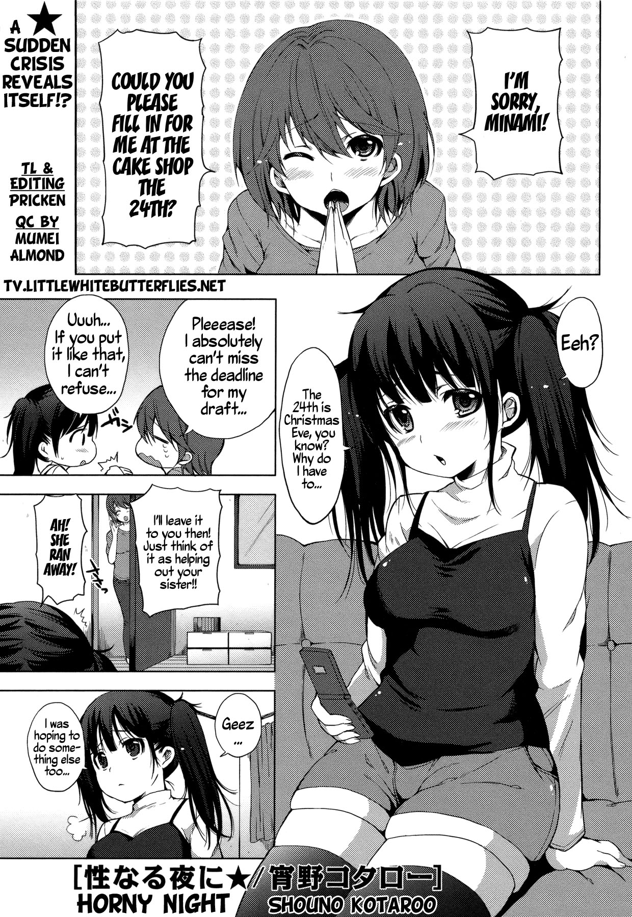 Seinaru Yoru ni | Horny Night (COMIC Masyo 2011-02) [English] =TV=